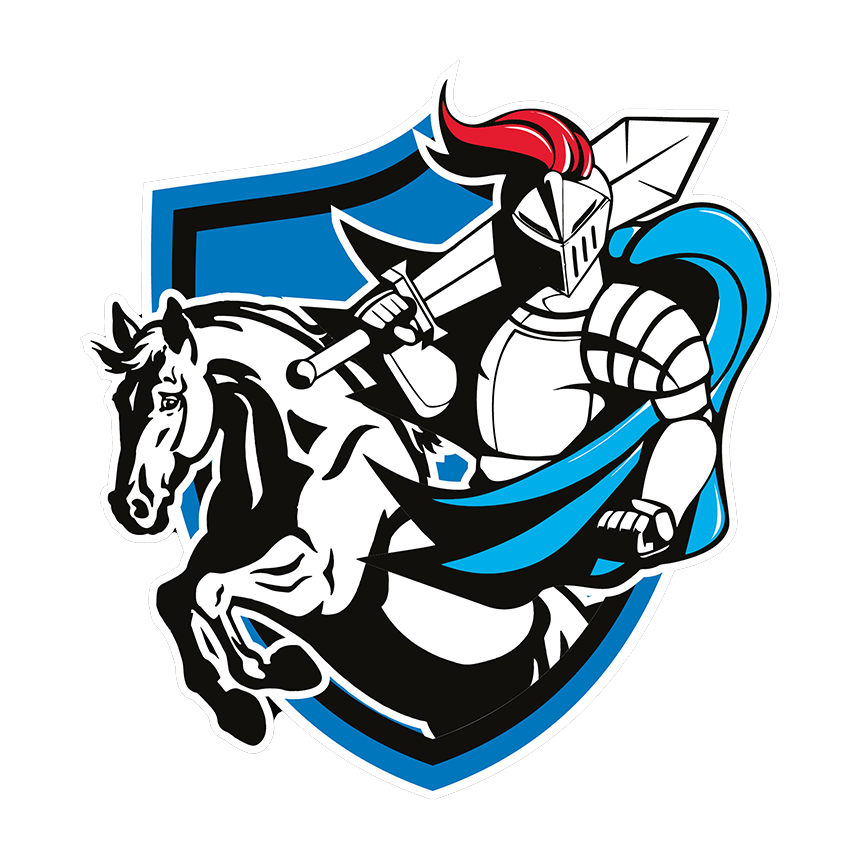 Blaze Of Knights